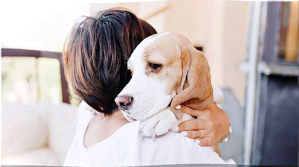 woman hugging her dog