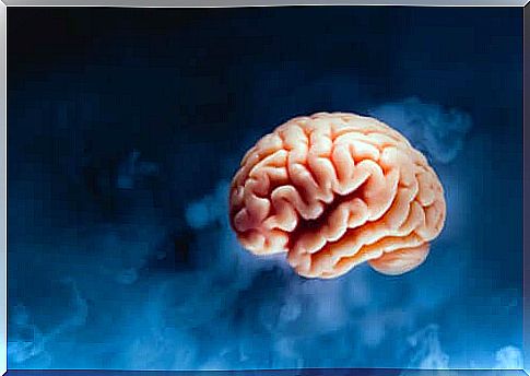 human brain image