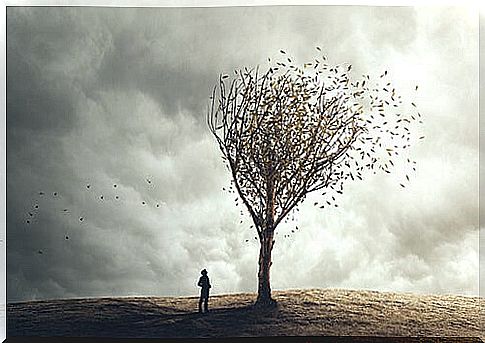 Person watching leaves flying from tree