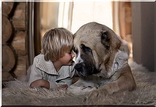 love-animal-boy-with-dog