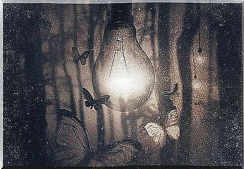 butterfly lamp